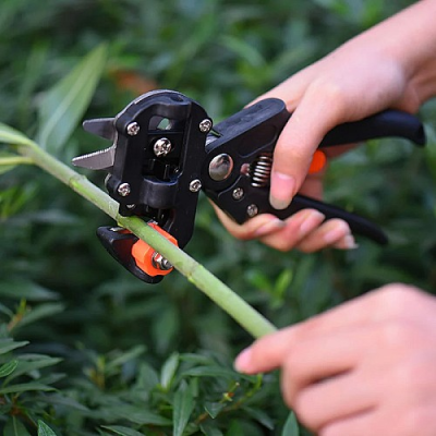 Greffage Grafting tool