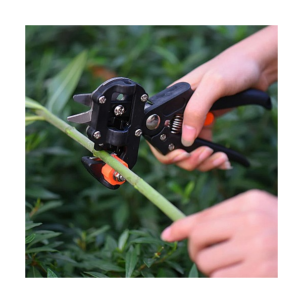 Greffage Grafting tool